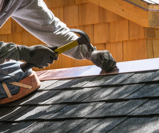 Best Local Roofing Companies  in Mesita, NM